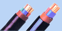 WZ005ѹϩ Cu/XLPE/Steel tape/PVC power cable